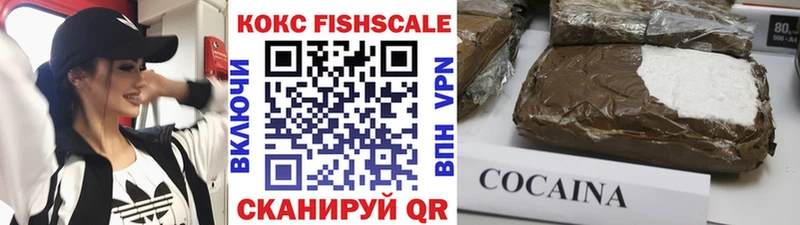 где купить наркоту  Новая Ляля  kraken ССЫЛКА  Cocaine Fish Scale 