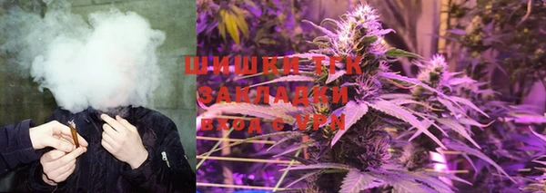 дмт Алзамай
