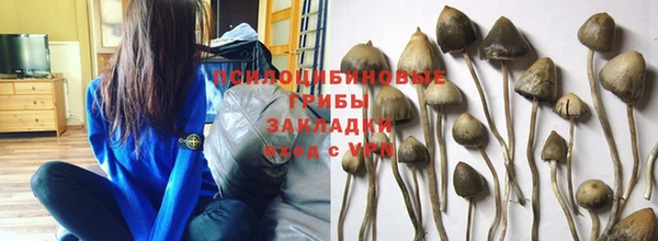 молекула духа Алексин
