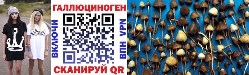 Псилоцибиновые грибы Psilocybe  площадка формула  Новая Ляля 